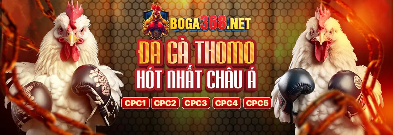 Sân chơi Đá gà Trực tuyến Hàng đầu vip678 win